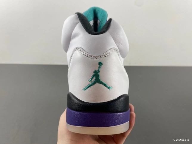 (2013) Jordan Retro 136027-108 Air Grape 5 0916